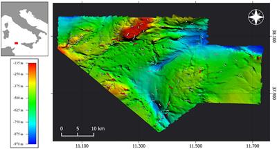 Structural diversity of Leiopathes glaberrima populations in the strait of Sicily: from pristine to declining forests